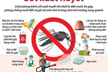 Yêu cầu thường xuyên giám sát chỉ số bọ gậy, muỗi truyền bệnh sốt xuất huyết